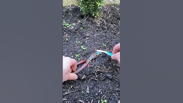 How Easy Clean the Tools | WD40 #wd40 #construction #diy
