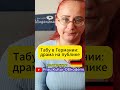 Драма на публике? ИНТЕГРАЦИЯ в Германии: 20+ вещей, за которые вам будет мучительно СТЫДНО. ТАБУ!