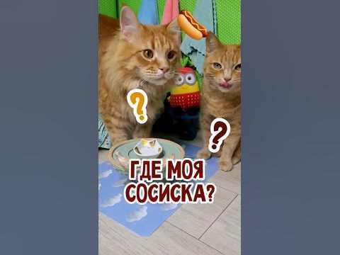 Где моя сосиска? #кот #еда #сосиска - YouTube