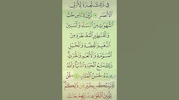 آيات من القرآن الكريم 💞 سورة آل عمران 💞 الآية 14