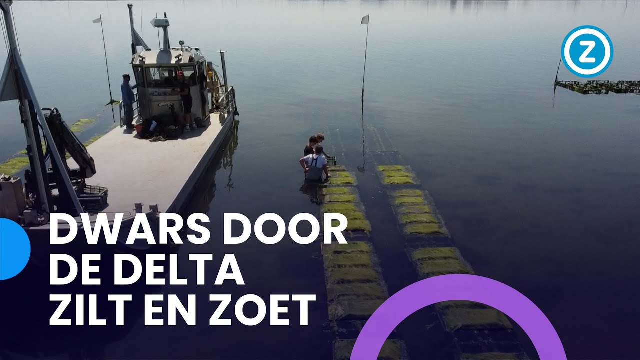 Dwars door de Delta, Zilt en zoet