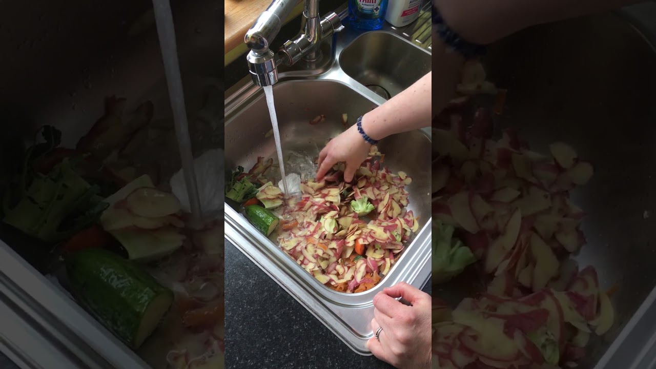 Garbage disposal Insinkerator 66