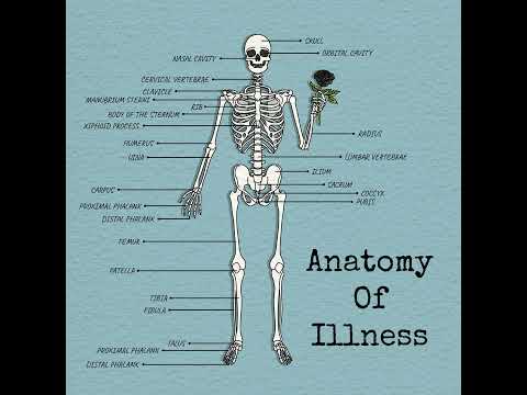 Anatomy Of Illness