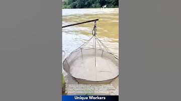 Fishing adventure: exploring a river with a lift net