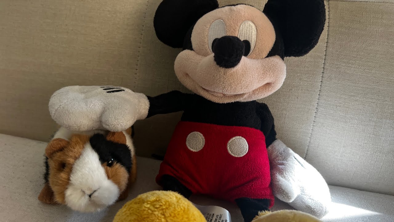 The adoption Ep1-Mickey cheese show- - YouTube