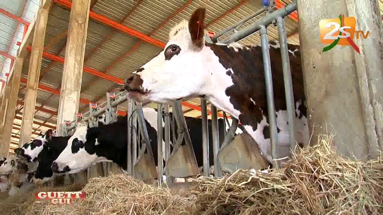 GUETT GUI DU 20 MAI 2018 AVEC AMADOU DIALLO