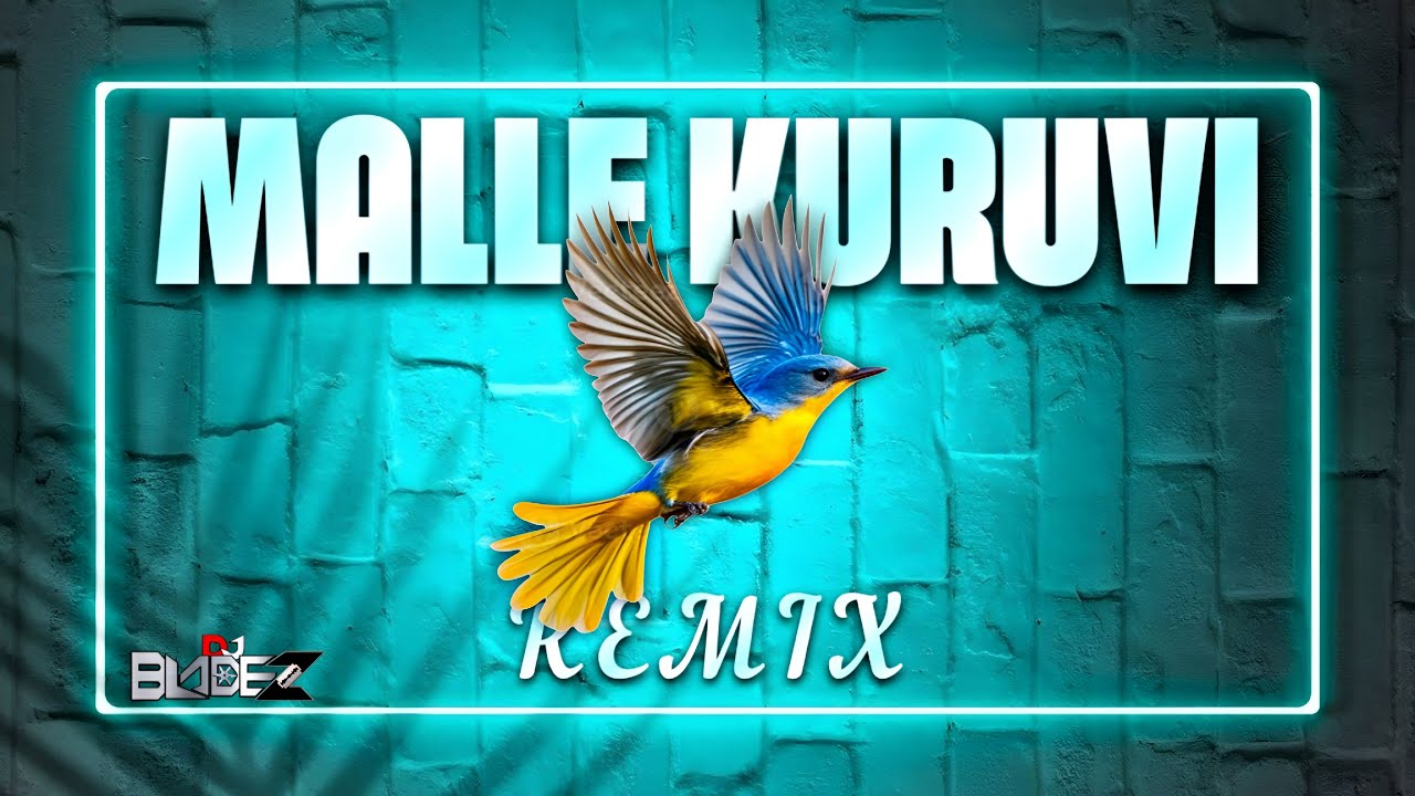 Malle Kuruvi | DJ BladeZ | BladeZ Anthem Volume 1 (2024) | 1080p HD
