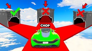 CAN CHOP CHOOSE WHICH ONE IS THE CORRECT WAY GTA 5