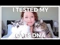 I Tested My Cat's DNA!