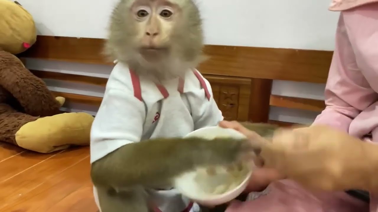 Monkey Baby Nui   Nui is a very affectionate and wise monkey baby flipped