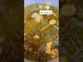 اي بق بق هههه اي بق بق هههه