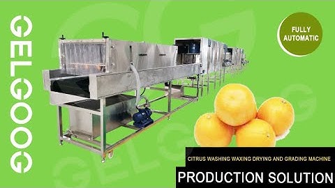 Fruit Washing Waxing Drying And Sorting Line|Citrus Washing Waxing Drying And Grading Machine
