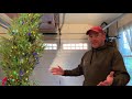 UNBOXING a Balsam Hill Pre-Lit Artificial Christmas Tree