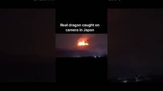 Real dragon caught on camera in Japan Part_1 #shorts #dragon #japan #fire screenshot 5