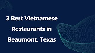 3 Best Vietnamese Restaurants in Beaumont, Texas | Vietnamese Cuisine