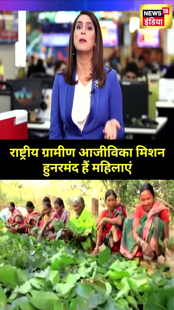 National Rural Livelihood Mission, हुनरमंद हैं महिलाएं | #Shorts | N18S