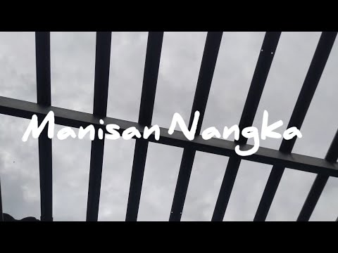 Manisan Nangka