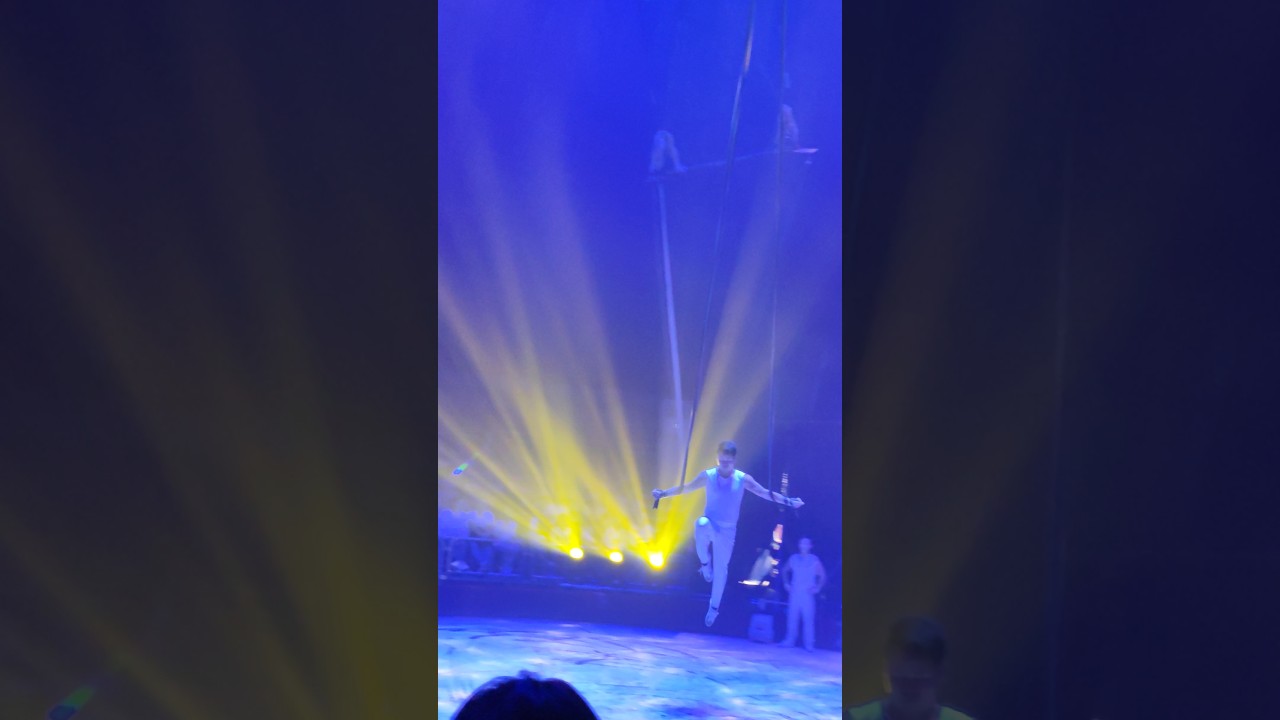Great Circus! 🎪 The stunts, the energy🔥 