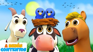 A Bebés Contentos | 3D Sonidos de Animales Bebé | Canciones para niños