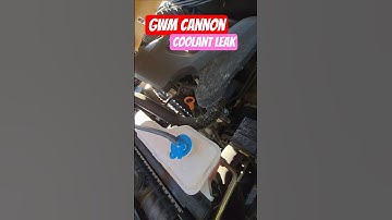 GWM Cannon - Coolant pushing out of Overflow Bottle.  #gwm #pseries #tank300 #tank500 #mechanic