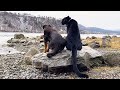 Walking with a panther 😸🌲 (part 2)(ENG SUB)