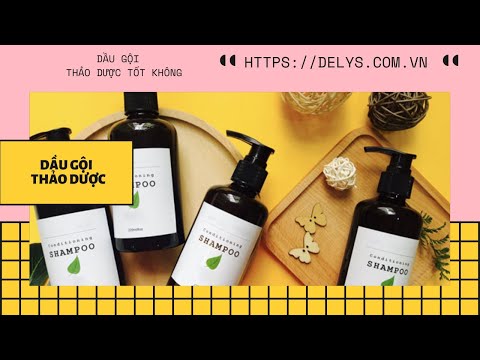 Review 5 loại dầu gội thảo dược trị Gàu, Rụng Tóc tốt nhất hiện nay | Kèm Giá