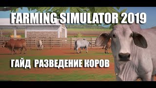 Гайд разведение коров Farming Simulator 2019 Гайд разведение коров Farming Simulator 2019