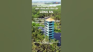 Rừng tràm nguyên sinh KDL Làng Nổi Tân Lập - Long An