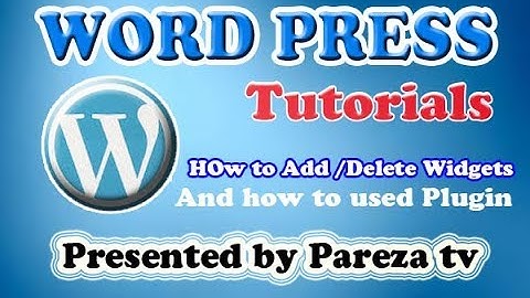 How to Add or Delete Widgets and Plugin in WordPress Urdu Hindi