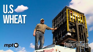 Inside a Sixth-Gen Farmer's Seed Warehouse | Maryland Farm & Harvest