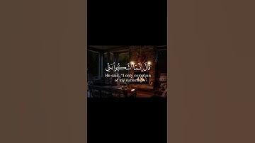 #تلاوات #راحة_نفسية #القرآن_الكريم #صلوا_على_النبي #استغفر_الله #سبحان_الله #الحمدلله