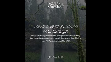 سورة الأنعام  🌿 القارئ سعد الغامدي