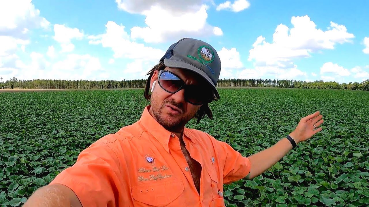 Florida Farming YouTube