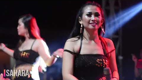 Sahara - Sofi ehoy  #terhanyut dalam kemesraan