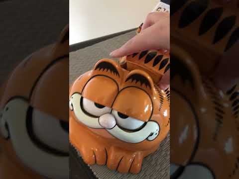 Video: „Vintage Garfield“telefonai Bretanėje, Prancūzijoje, Paslaptis Išspręsta