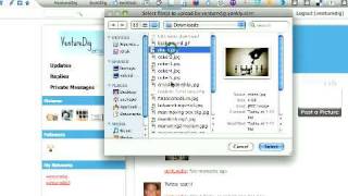 Yonkly Post Multiple Pictures With Text