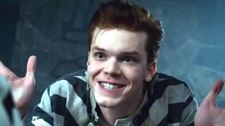 Gotham | Bones - BlackMold