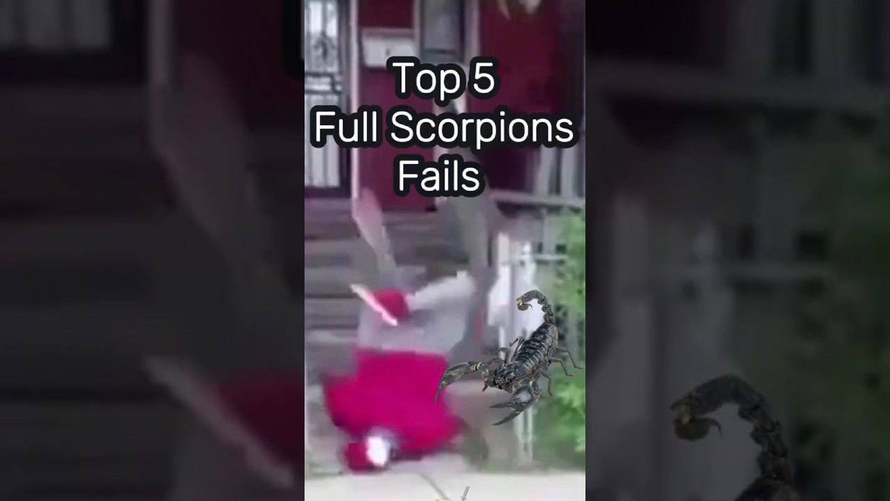 Top 5 Full Scorpions Fails  🤣🦂🎭 
