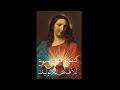 كنيسة قلب يسوع Live Stream 