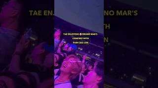 Tae Enjoying Bruno Mars Concert With Park Seo Joon Just Like Normal Person..