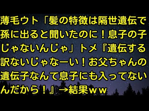 【スカッとする話】薄毛ウト「髪の特徴は隔世遺伝で孫に出ると聞いたのに！息子の子じゃないんじゃ」トメ『遺伝する訳ないじゃなーい！お父ちゃんの遺伝子なんて息子にも入ってないんだから！』→結果ｗｗ