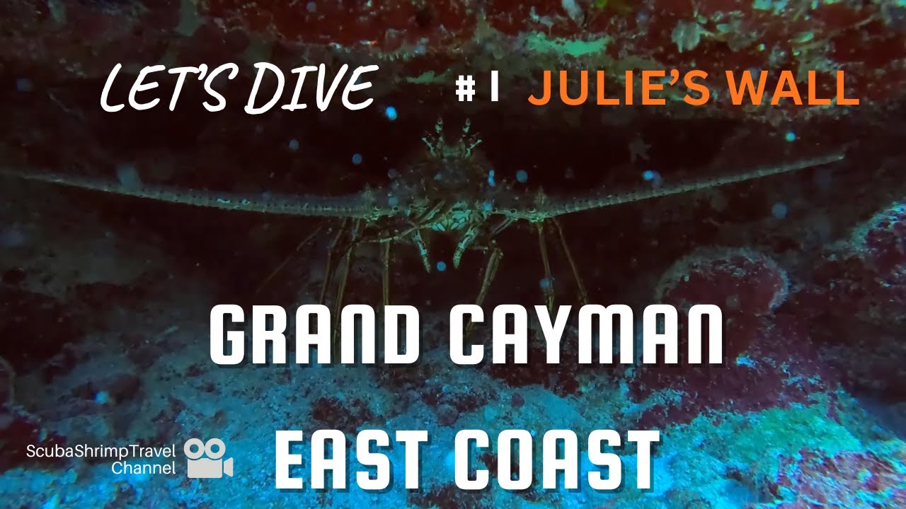 Exploring Grand Cayman’s East End | Epic Scuba Diving in the Caribbean | Julie's Wall
