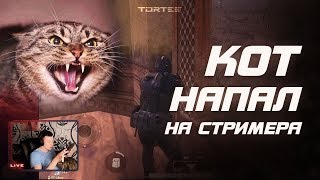 КОТ НАПАЛ НА СТРИМЕРА В ПРЯМОМ ЭФИРЕ😦TORTEE PUBG Mobile (1) КОТ НАПАЛ НА СТРИМЕРА В ПРЯМОМ ЭФИРЕ😦TORTEE PUBG Mobile (1)