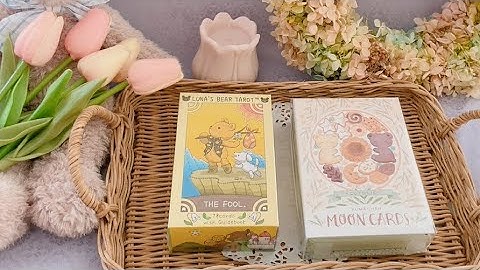 【NEW】🧸テディ・ベアー🧸デッキ✨タロット&オラクルデッキ予告