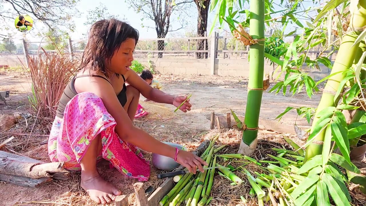 ให้สาวพรหาหน่อไม้มอกสูกินมื้อนี้21 กุมภาพันธ์ ค.ศ. 2026