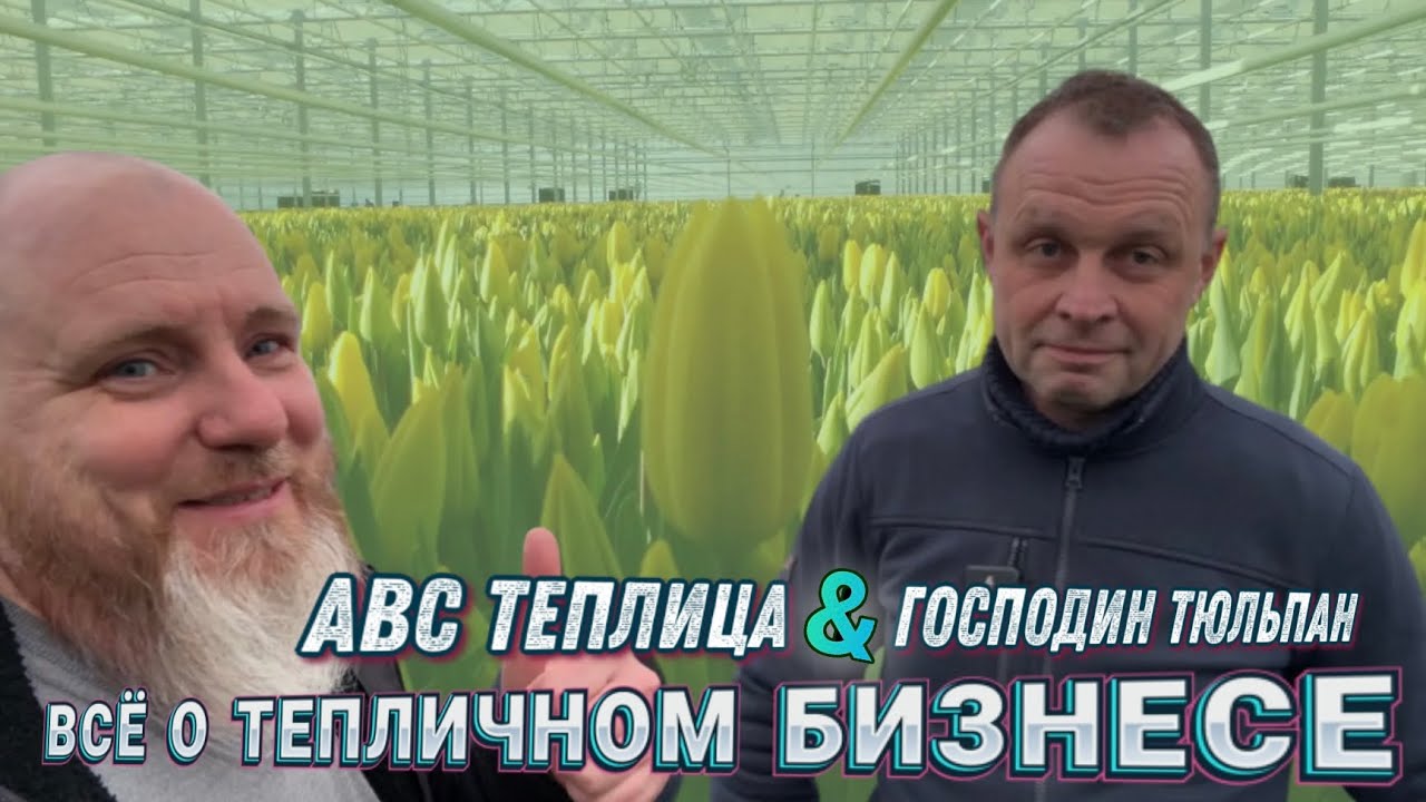 АВС Теплица & Господин Тюльпан о тепличном бизнесе 🤝