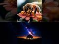 Insects + Galaxy