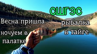 Ждали эту рыбалку всю зиму! Тайга. Енисей. СШГЭС