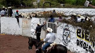 Recordando este paseo del caracol Ayotlan