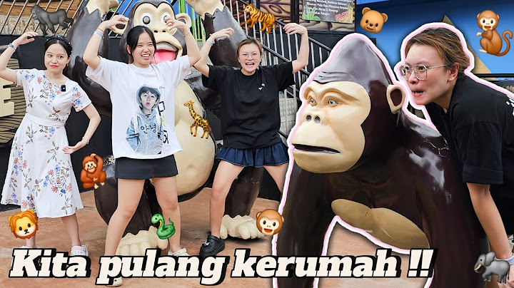 Akhirnya 3 MONYET gila PULANG !! Pergi ke kebun binatang bersama Fanny dan LenLen ?!! 🐒🐘🦒